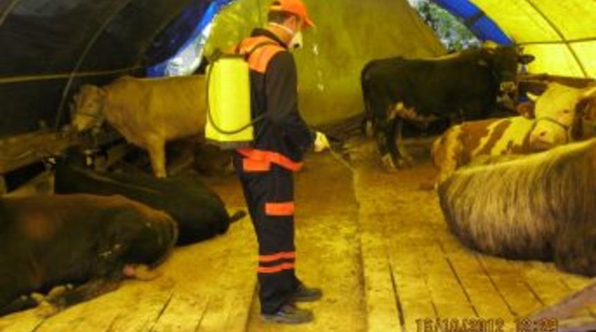 Ankara B&uuml;y&uuml;kşehir Belediyesi&rsquo;nden Kurban Satış Yerlerine Ila&ccedil;lama