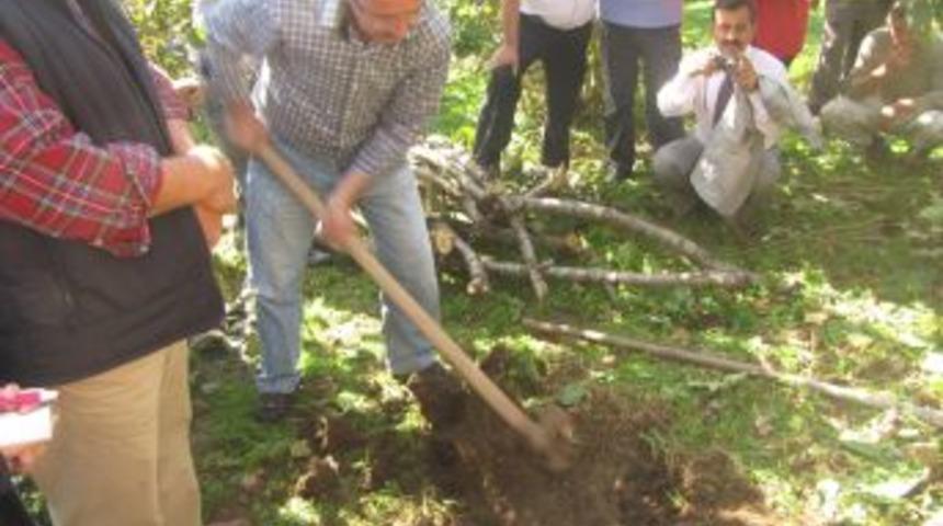 Fındık Üreticilerine Uygulamalı Budama Ve Toprak Analizi Eğitimi