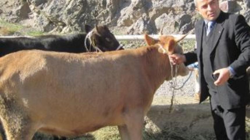 Kurban&rsquo;da Anneler Kurban Olmasın