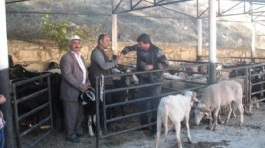 Keles Halkının Kurbanlık Tercihi Ke&ccedil;i