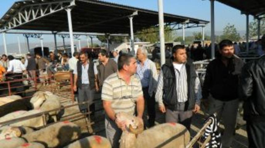 &Ouml;demiş'te Kurbanlık Pazarı A&ccedil;ıldı