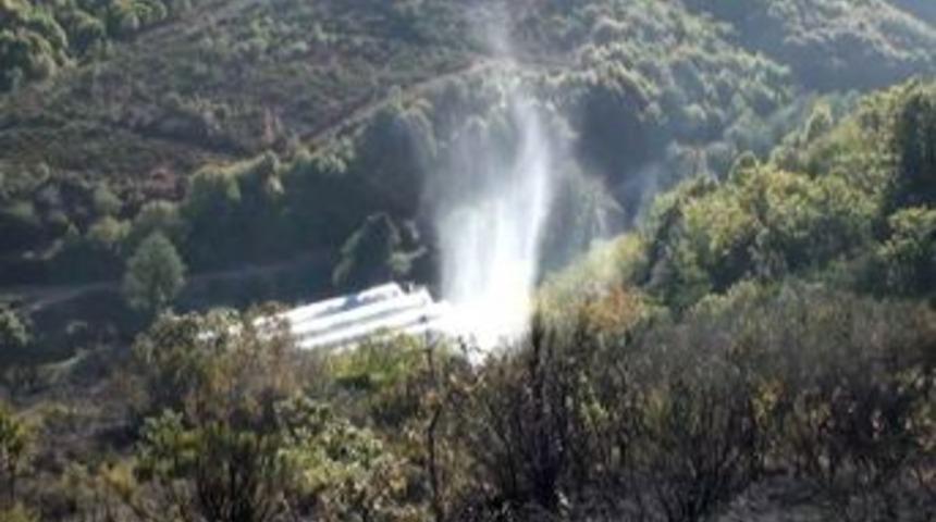 İstanbul'da Orman Yangını