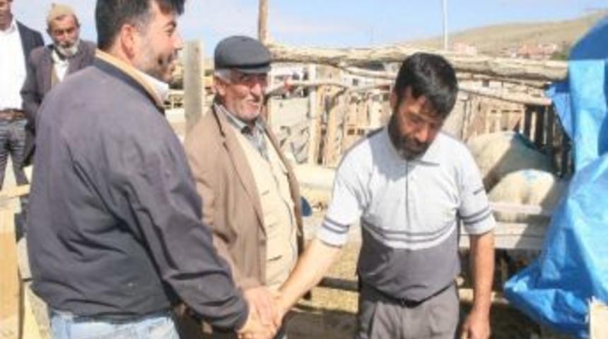 Kurban Bayramı Yaklaştıkça Pazarlıklar Kızışıyor