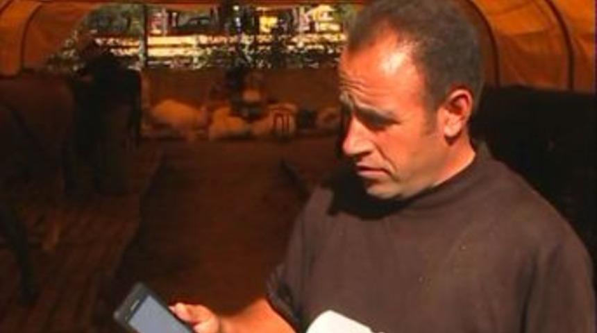 Kurbanlık Satışında Promosyon D&ouml;nemi: Dana Alana Ko&ccedil; Bedava