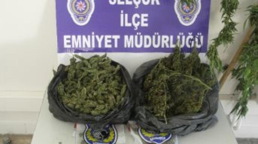 Sel&ccedil;uk&rsquo;ta Esrar Operasyonu