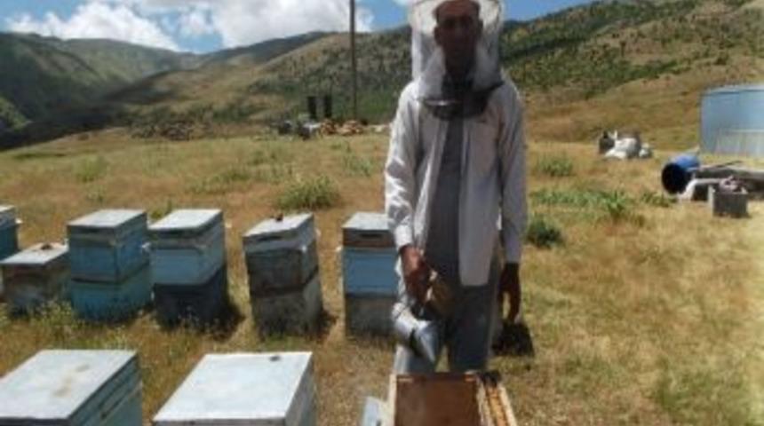 Hizan'da Soğuk Hava Bal Verimini D&uuml;ş&uuml;rd&uuml;