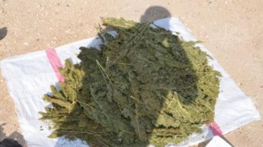 Birecik&rsquo;te 6 Kilogram Esrar Ele Ge&ccedil;irildi