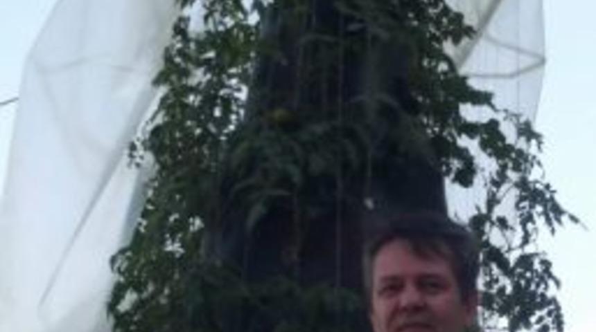 "tarım Pınarı" İle Terasta Da Sebze Yetiştirilebilecek