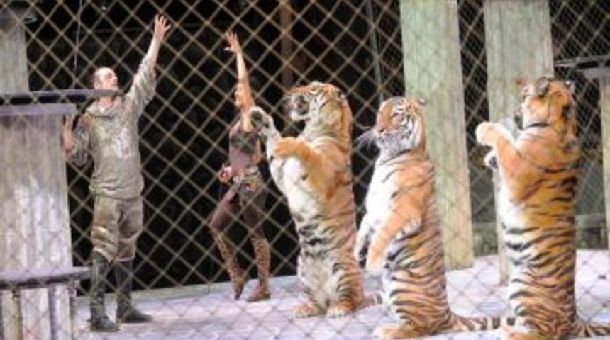 B&uuml;y&uuml;k Ankara &amp; Moskova Sirki, Bayramda G&ouml;sterilerine Başlıyor