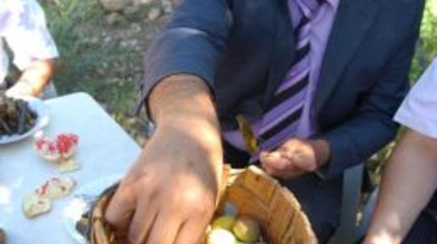 K&ouml;yl&uuml;lerin Vazge&ccedil;ilmez İkramı &ldquo;g&uuml;z İnciri&rdquo;