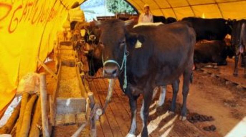 Kepez&rsquo;de Kesim Yerleri Belirlendi