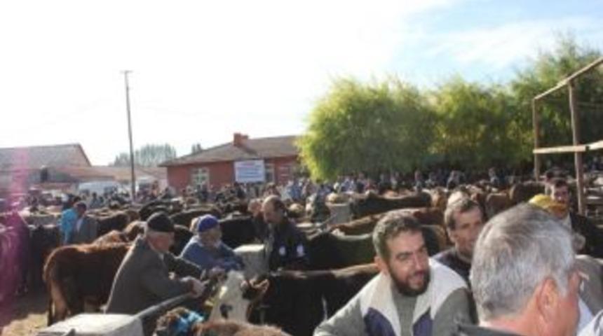 Hayvan Pazarında Denetimler Arttı