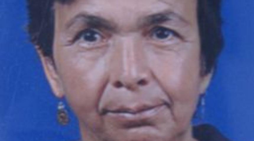 &Ouml;demiş'te 1 Kadın Bı&ccedil;akla Yaralandı