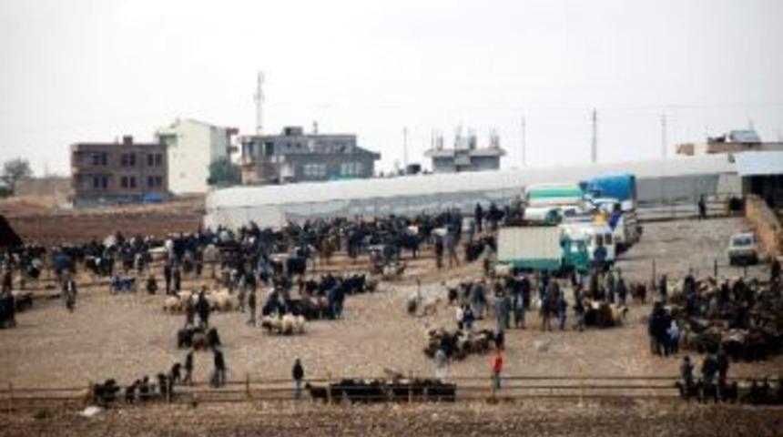 Kahta İl&ccedil;esinde Kurbanlık Yoğunluğu Yaşanıyor