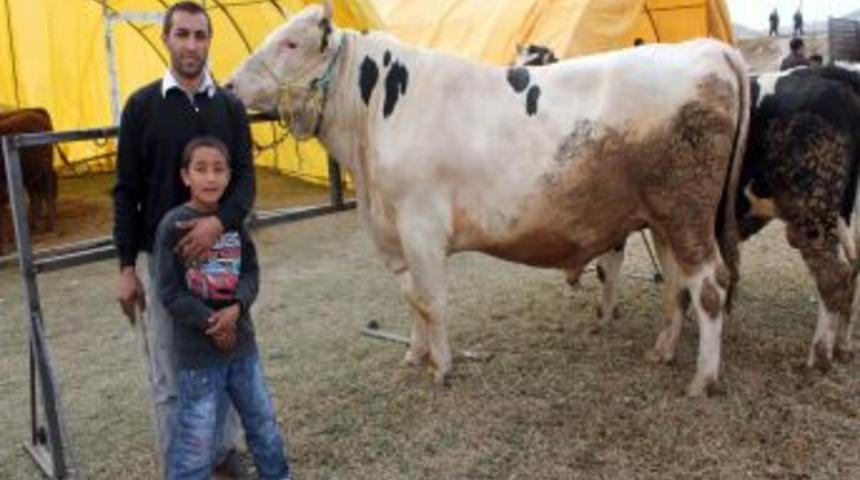 &Uuml;reticiler, Kurban Pazar Yerinin Tabela Ve Ulaşımla Desteklenmesini Istiyor