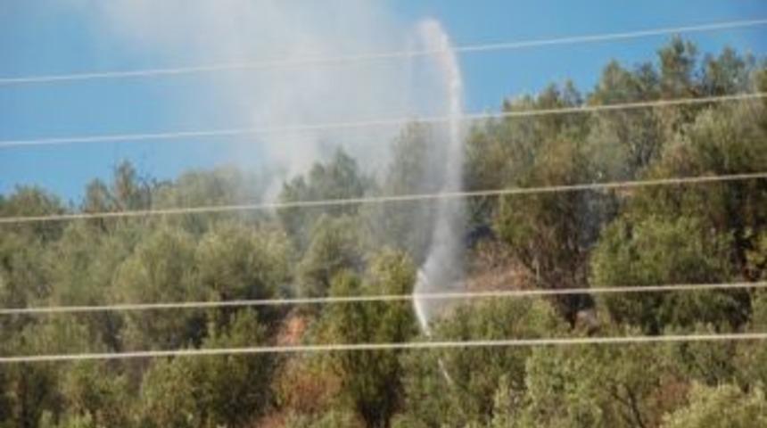 Zeytinlikte &Ccedil;ıkan Yangın Korkuttu