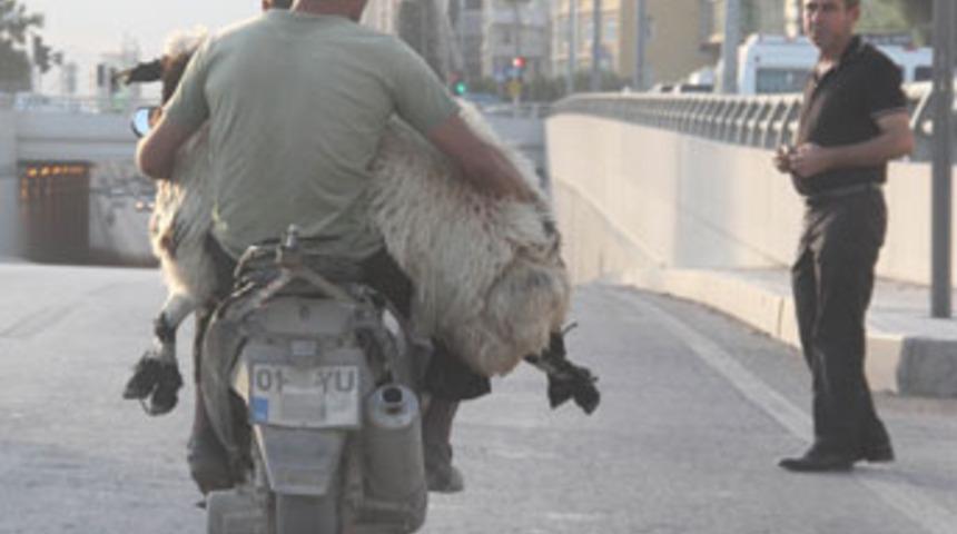 Motosikletle &ouml;l&uuml;m&uuml;ne kurban taşımacılığı