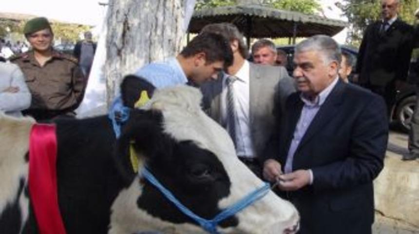 Şark&ouml;y&rsquo;de 2,3 Milyonluk Gebe D&uuml;ve Dağıtımı T&ouml;renle Yapıldı