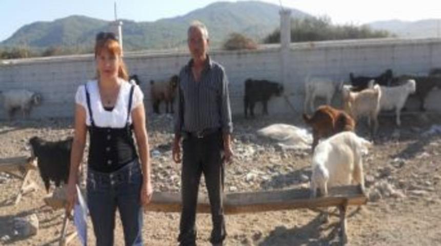 Kurbanlık Hayvanlar Denetleniyor