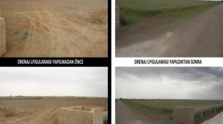 Tuzlanan Araziler Yeniden Tarıma Kazandırılıyor