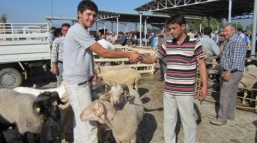 &Ouml;demiş'te Kurbanlık Fiyatları Artmadı