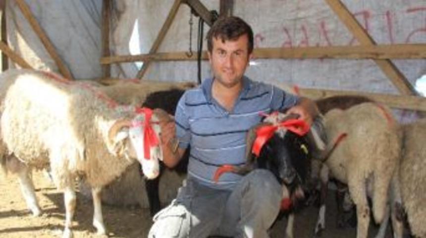 Fiyatlar D&uuml;şt&uuml;, İlgi Azaldı