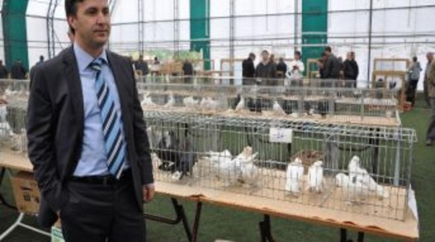 &Ccedil;ubuk: &ldquo;kuş Beslemek Y&uuml;zyıllardır Geleneklerimizde Mevcuttur&rdquo;