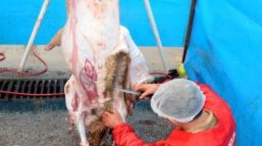 Balıkesir'de Kurban Kesim Yerleri Belirlendi