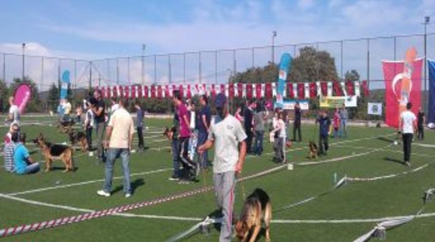 K-9'lar &Ccedil;ekmek&ouml;y'de Yarıştı