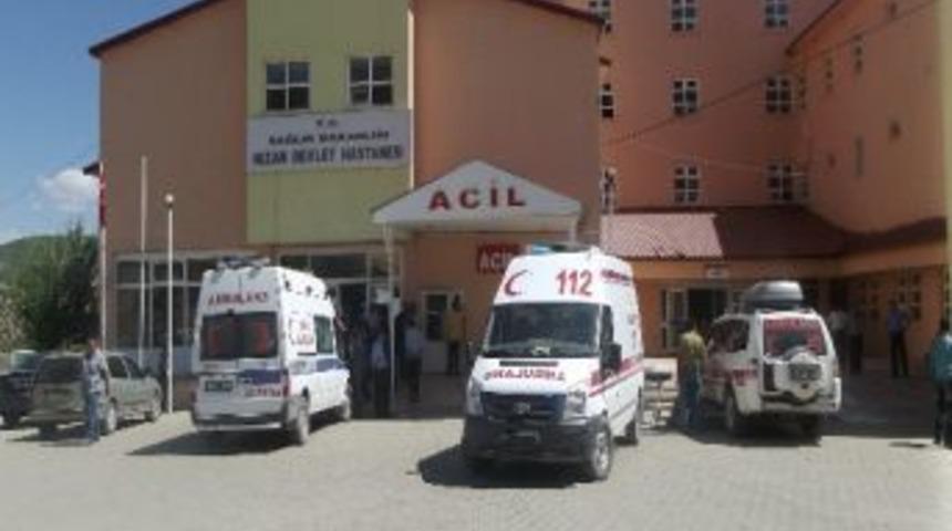 At &Uuml;zerinde Kalp Kirizi Ge&ccedil;irdi