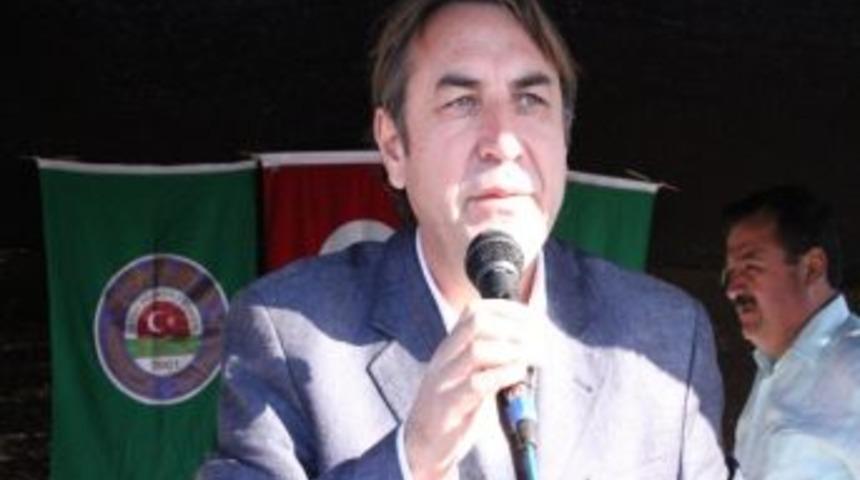 Davul Zurnalı Zeytin Hasadı