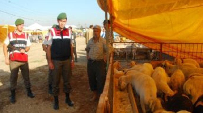 Jandarma&rsquo;dan Kurban Dolandırıcılarına Karşı &Ouml;nlem