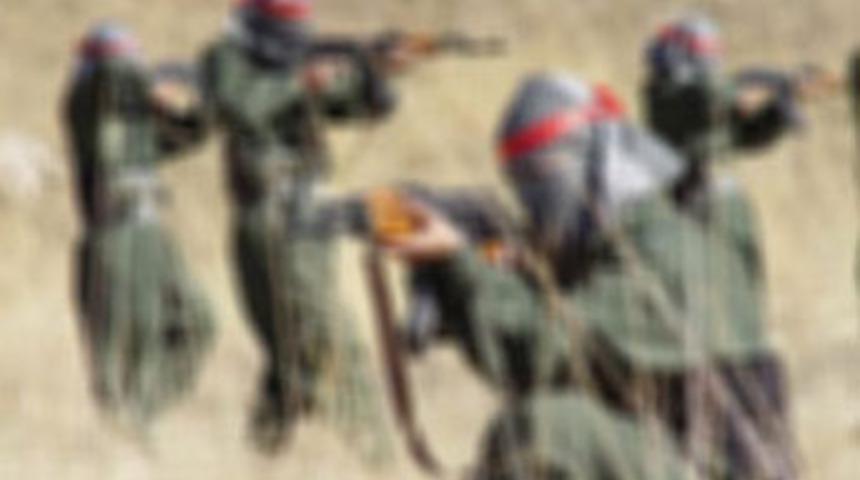 Şırnak'ta 10 ter&ouml;rist teslim oldu