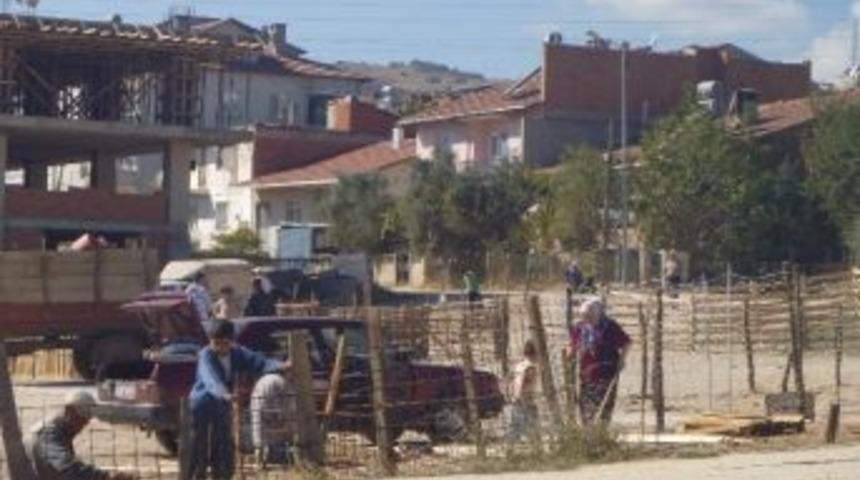 Bilecik Kurban Pazarı Hazır