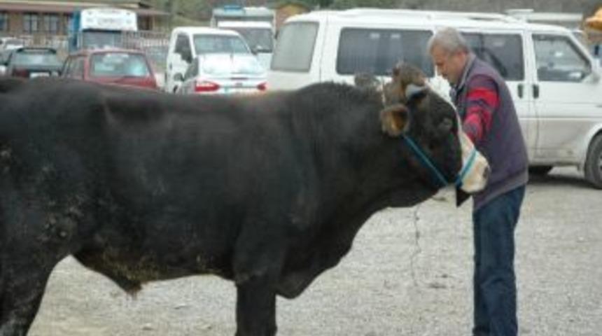 Bayram Yaklaştı, Satışlar Arttı