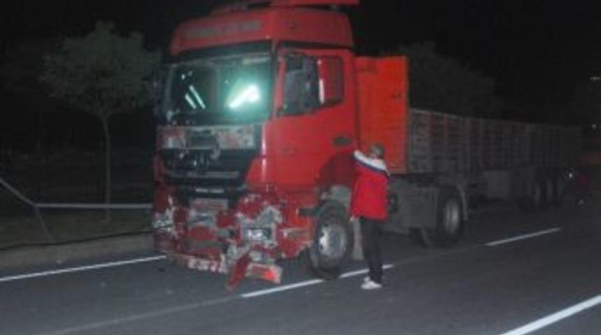 K&ouml;peği Ezmemek İ&ccedil;in Kaza Yaptı