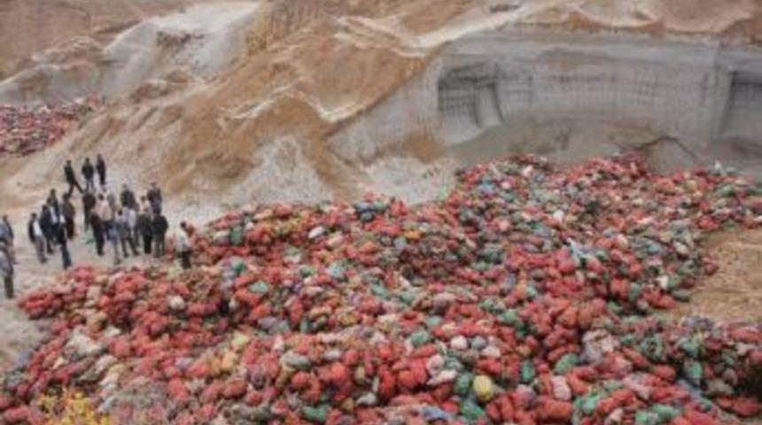 Tarladan Gelen &Ccedil;ığlık