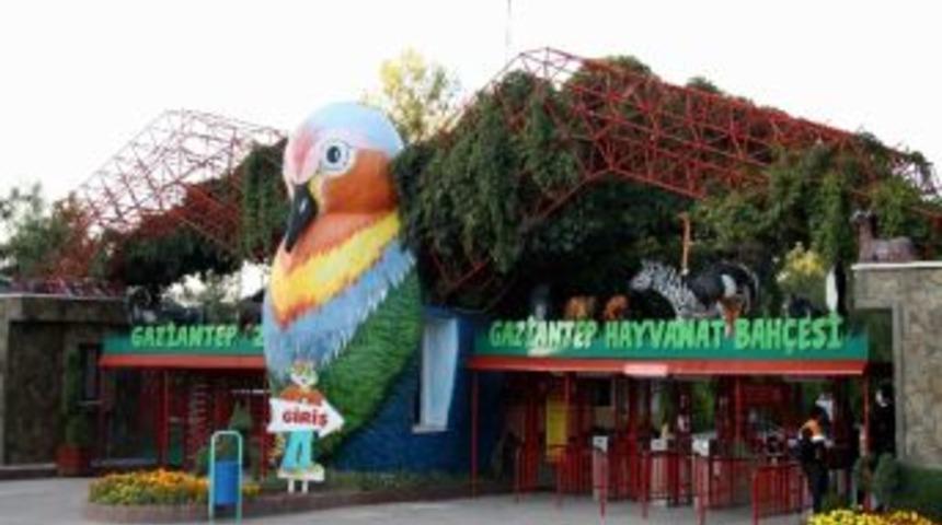 Fokevi, Hayvanat Bah&ccedil;esinin Cazibesini Arttırdı