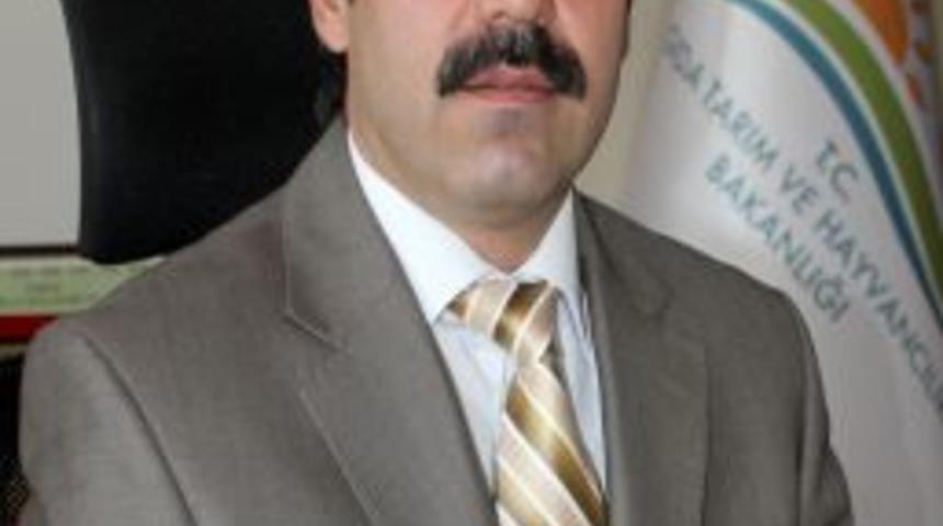 Kesilen Kurbanlıkların Cinsi B&ouml;lgelere G&ouml;re Değişiyor