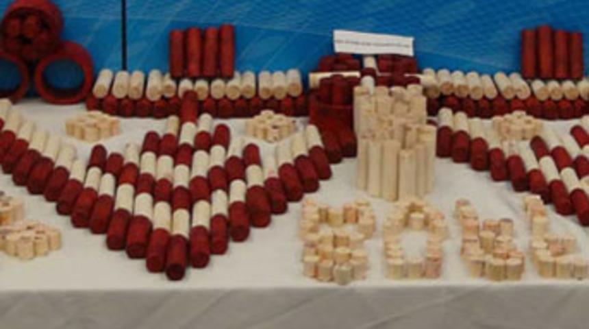 İlk kez 'fildişi' yakalandı