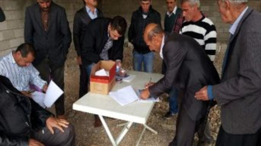 Elif Beldesinde Temsili Referandum