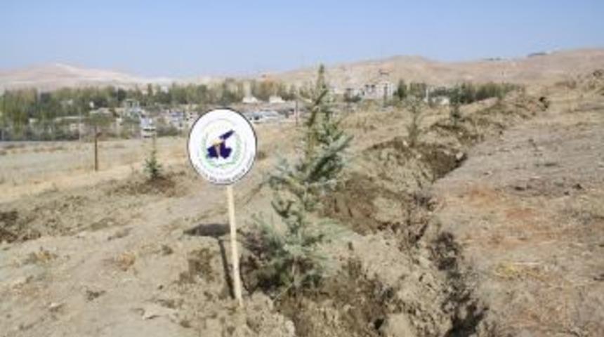 Van'da Depremde &Ouml;lenler I&ccedil;in Orman Oluşturuldu