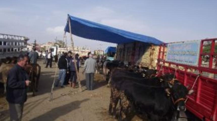 Kulu&rsquo;da Hayvan Pazarında Durgunluk