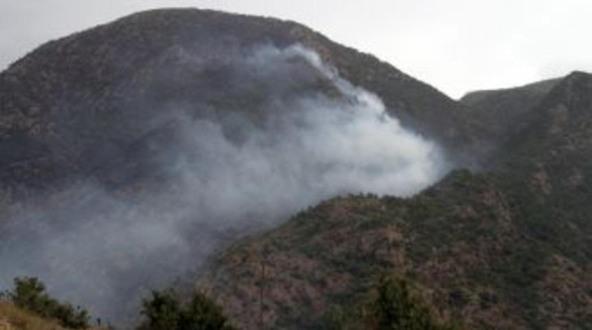 Amanoslar&rsquo;ı K&uuml;l Olmaktan Yağmur Kurtardı