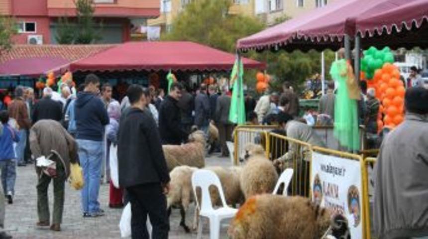 Alanya Belediyesi'nden &Uuml;cretsiz Kurban Kesimi