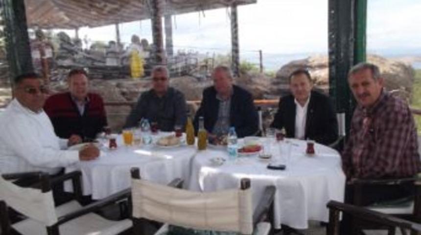 Zeytin, Barışı Getirdi