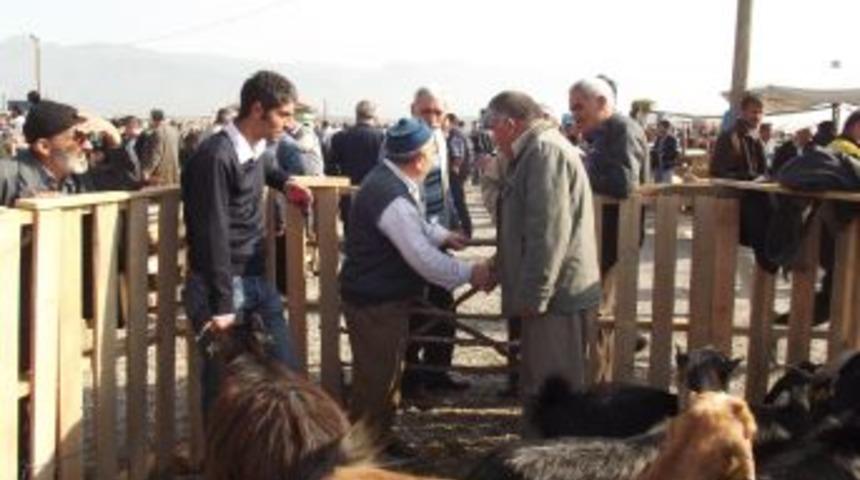 Kurbanlıklara Hanım Eli