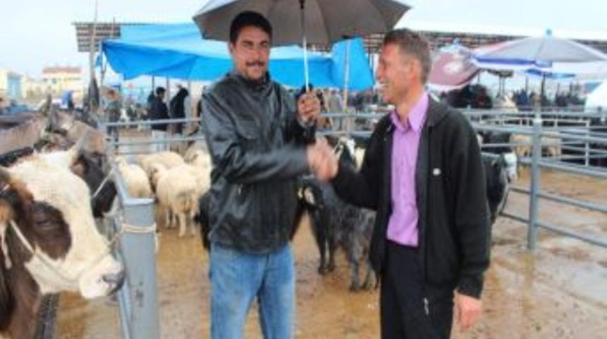Beyşehir&rsquo;de Hayvan Pazarında Kurban Hareketliliği