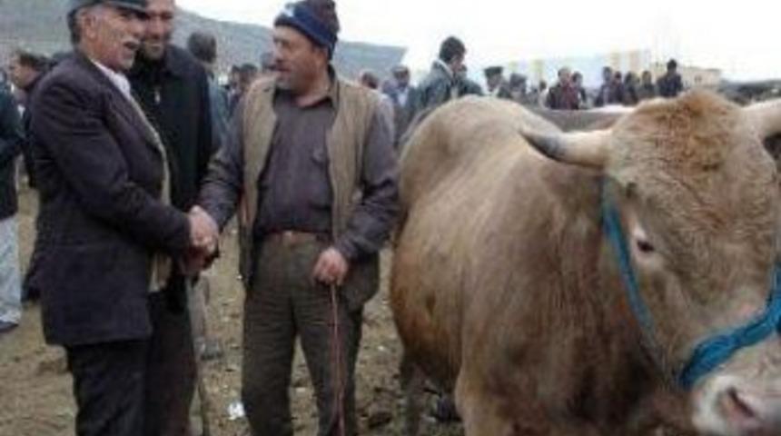 B&uuml;nyan&rsquo;da Kurban Bayramı &Ouml;nlemleri Alındı