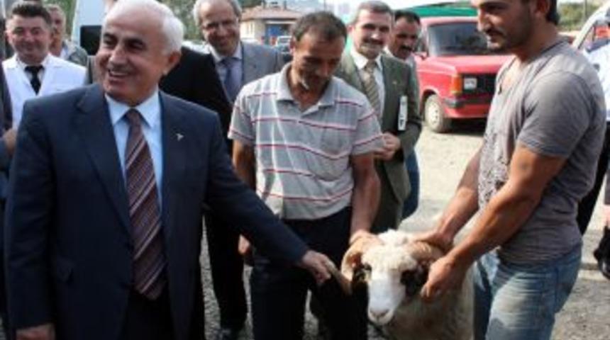 Giresun Valisi Şahin, Kurban Pazarını Denetledi